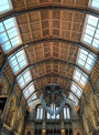 Ceiling, Natural History Museum, London